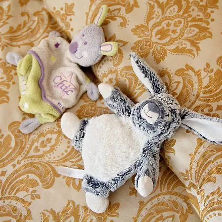 酒店 L'antico Convitto 3*