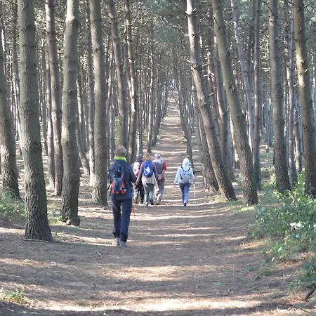 酒店 L'antico Convitto 阿马尔菲