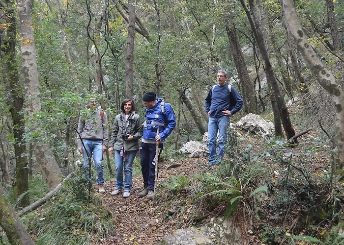 Отель L'antico Convitto 3*